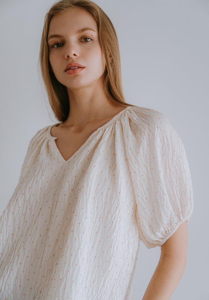 V-Neck Silk Blouse (Preorder)