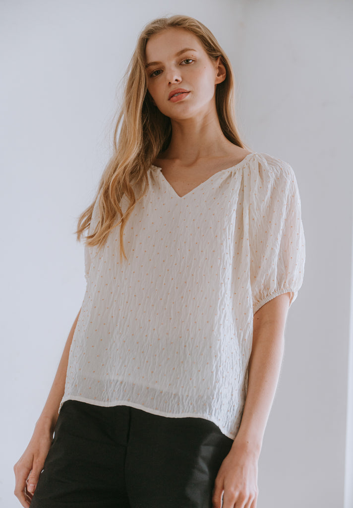 V-Neck Silk Blouse (Preorder)